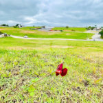 Terreno à venda no condomínio Up Residencial, Sorocaba - SP