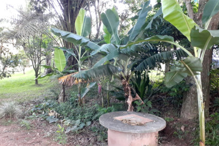 Chácara à venda com 2 quartos em Freitas, São José dos Campos, SP