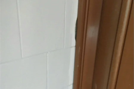 Casa Térrea à venda com 5 quartos em Lapa de Baixo, São Paulo, SP