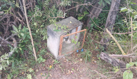 Chácara à venda em Bairro Biscoito Duro, Itapetininga, SP