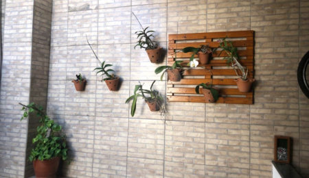 Casa Térrea à venda com 3 quartos em Tremembé, São Paulo, SP