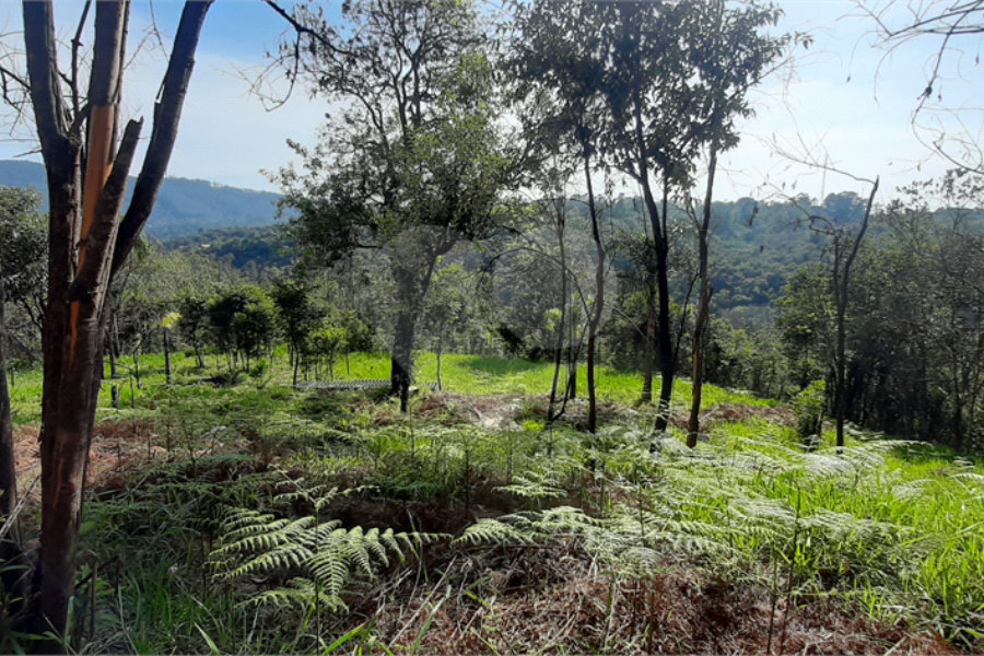 Terreno à venda em São Vicente, Mairiporã, SP