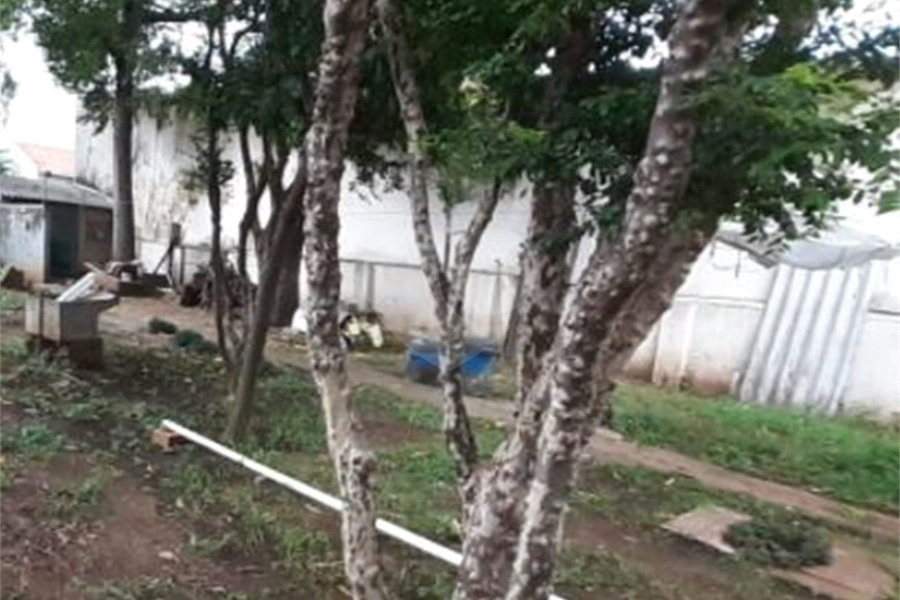 Casa à venda com 3 quartos em Santana, São Paulo, SP