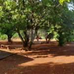 Chácara à venda com 1 quarto no Centro, Araraquara, SP