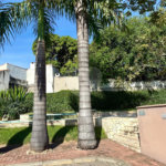 Villagio à venda com 3 quartos, sendo 1 suíte, em Jardim Paulista, Atibaia, SP