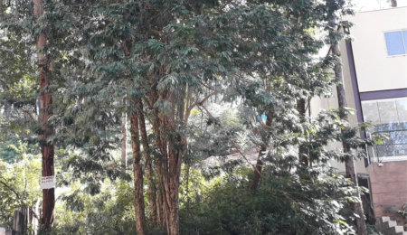 Terreno à venda ou para alugar em Vila Andrade, São Paulo, SP