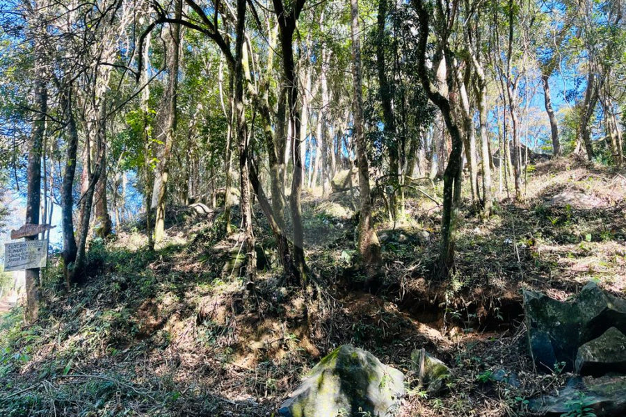 Terreno à venda em Jundiaizinho (terra Preta), Mairiporã, SP