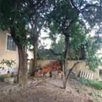 Terreno à venda com 3 quartos em Vila Guilherme, São Paulo, SP