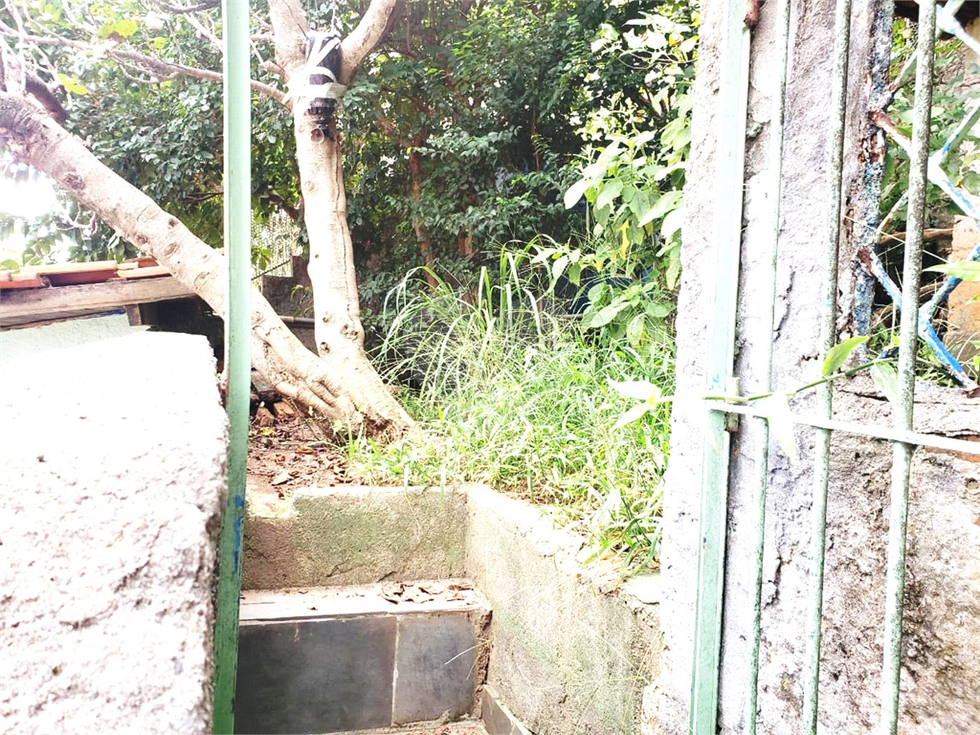 Sobrado à venda com 4 suítes em Vila Guilherme, São Paulo, SP