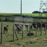 Sítio à venda com 2 suítes em Buru, Salto, SP
