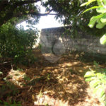 Terreno à venda em Vila São José, Valinhos, SP