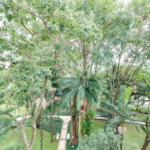 Apartamento à venda com 4 quartos, sendo 2 suítes, em Granja Julieta, São Paulo, SP