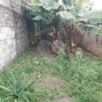Casa térrea a venda no centro de São Carlos com 3 quartos