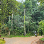 Terreno à venda em Pavão (canguera), São Roque, SP