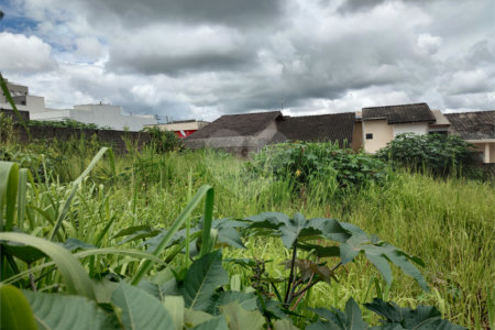 Terreno à venda em Nova Cerejeira, Atibaia, SP