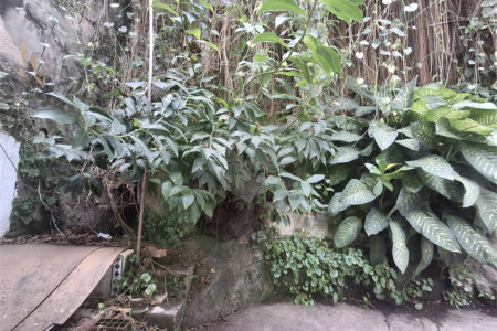 Casa à venda com 3 quartos em Andaraí, Rio de Janeiro, RJ