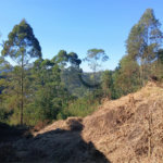 Terreno à venda em Mantiqueira, Mairiporã, SP