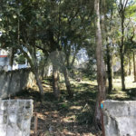 Terreno à venda em Horto, São Paulo, SP