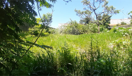 Terreno à venda em Jardim Shangri-lá, Atibaia, SP