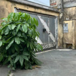 Casa Térrea à venda com 3 quartos em Jardim Dom José, São Paulo, SP