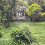 Terreno à venda em Marambaia, Vinhedo, SP