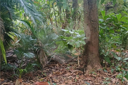 Área de Terra à venda com 4 quartos, sendo 1 suíte, em Pedra de Guaratiba, Rio de Janeiro, RJ