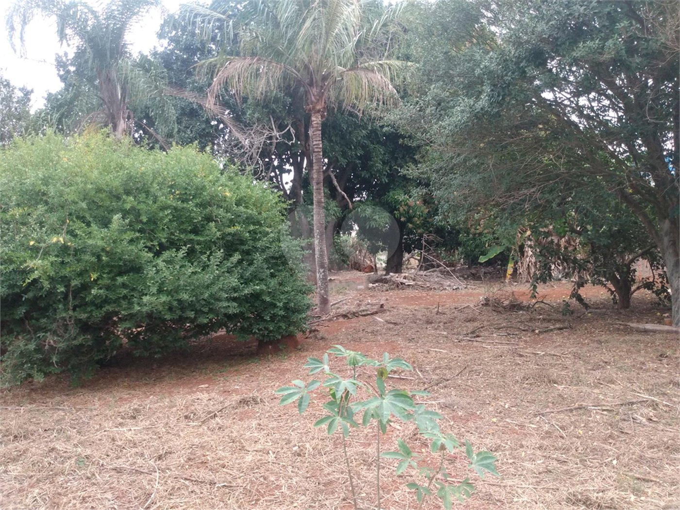 Terreno à venda em Vila Judite, Itapetininga, SP