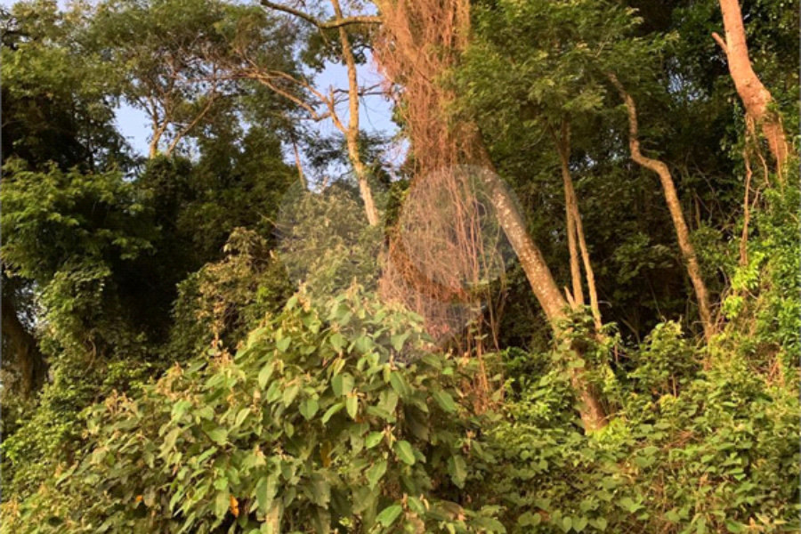 Sobrado à venda com 2 suítes em Horto, São Paulo, SP
