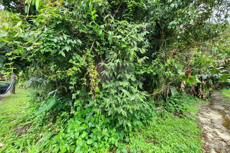 Terreno à venda em Riviera de São Lourenço, Bertioga, SP