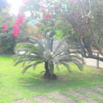 Terreno à venda no condomínio Village de Atibaia, Atibaia - SP
