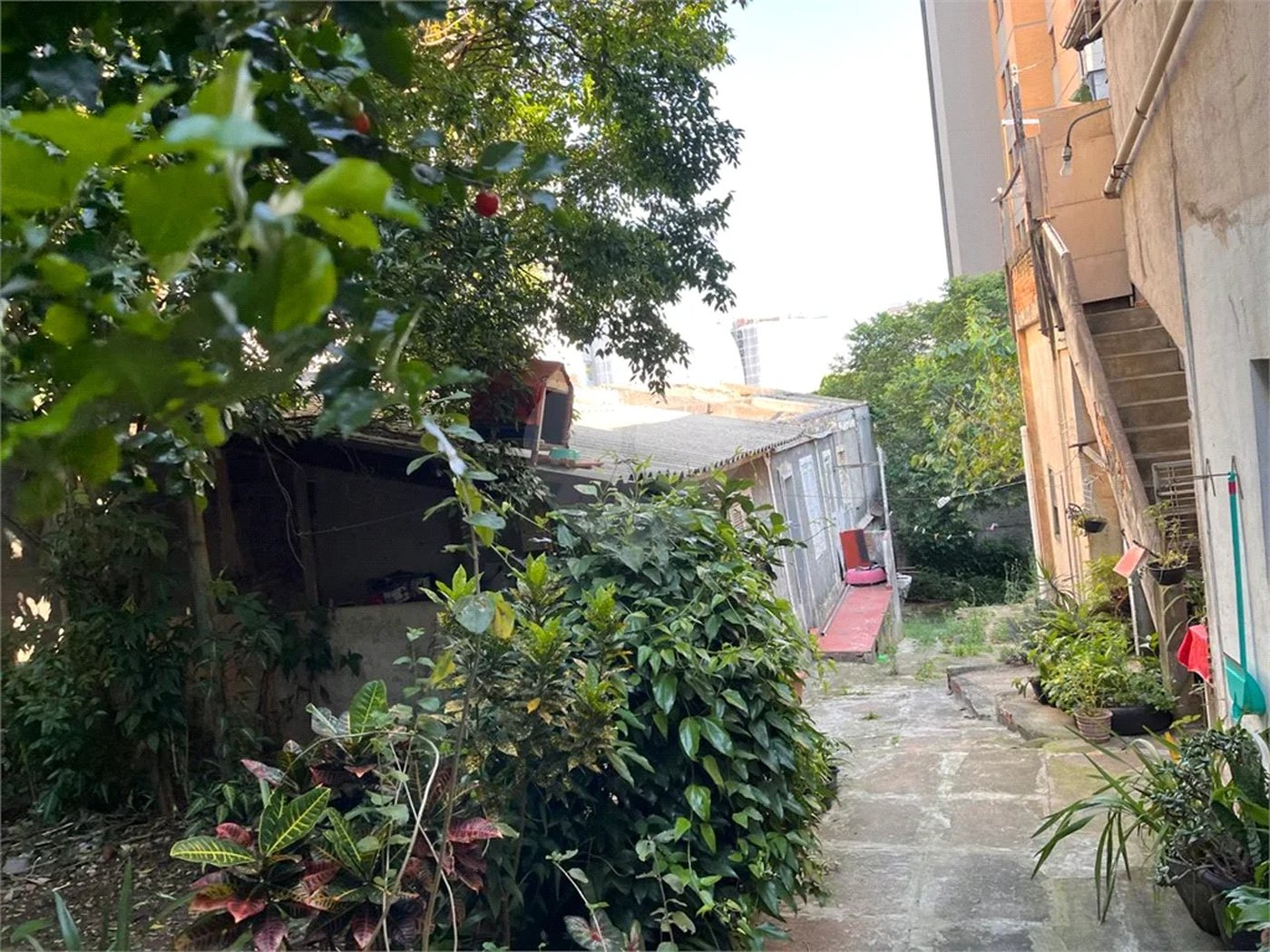 Terreno ideal para construção de prédio na Casa Verde
