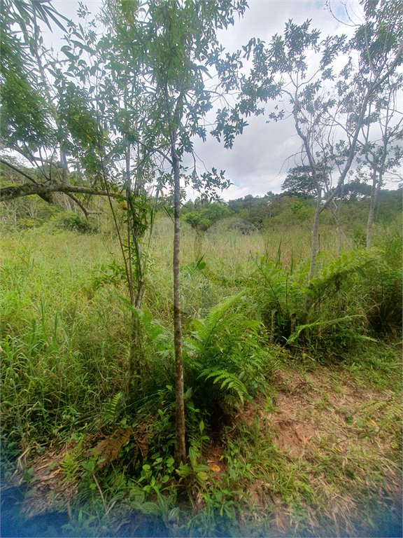 Terreno à venda em Vila Moraes, Mogi das Cruzes, SP