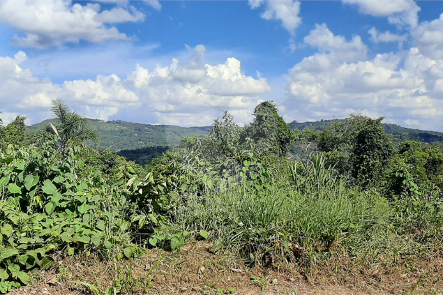 Terreno à venda no condomínio Sausalito, Mairiporã - SP