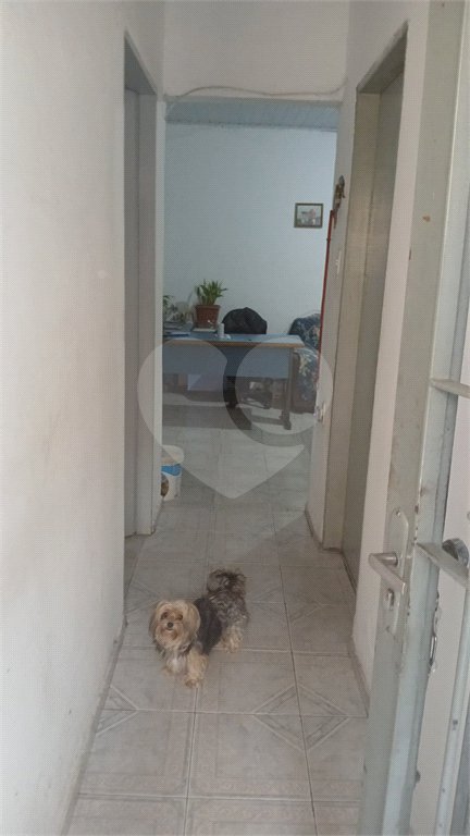 Casa à venda com 3 quartos em Vila Maria, São Paulo, SP