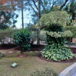 Apartamento à venda ou para alugar com 2 quartos, sendo 1 suíte, em Tremembé, São Paulo, SP
