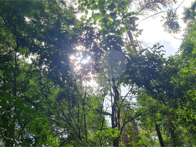 Terreno à venda em Caraguatá, Mairiporã, SP