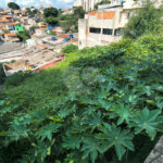 Terreno à venda em Vila Polopoli, São Paulo, SP