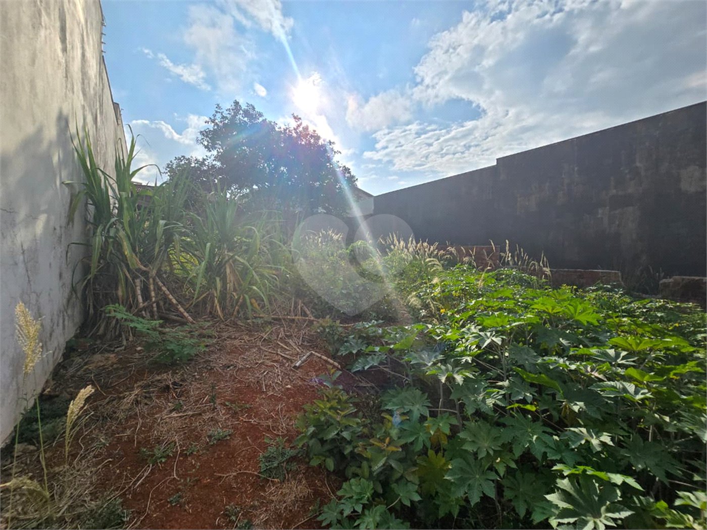 Terreno à venda em Vila Nastri, Itapetininga, SP