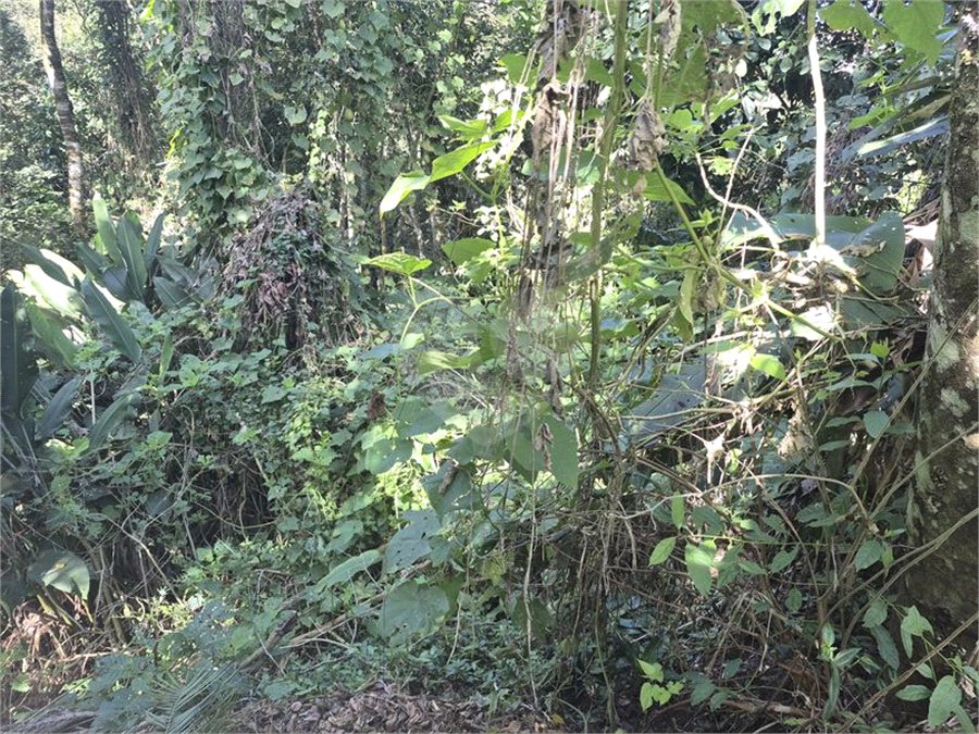Condomínio à venda em Serra da Cantareira, Mairiporã, SP