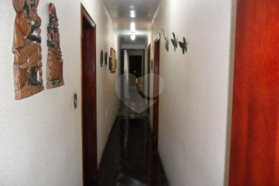Exuberante no Horto Florestal