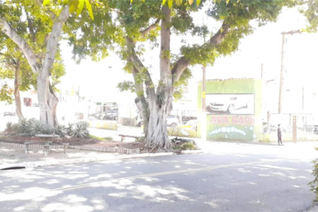 Casa Térrea Ampla com 4 Dormitórios, Suíte e Quintal à Apenas 15 Minutos do Estação Tatuapé.