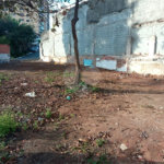 Excelente Terreno no Jardim Prudência, com 300 M² (10x30)