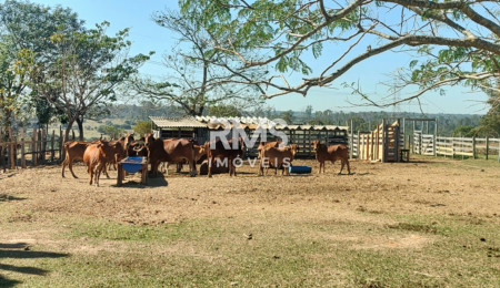 Sítio à venda com 2 suítes em Buru, Salto, SP