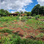 Terreno à venda em Jardim do Carmo, Araraquara, SP
