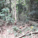 Terreno à venda em Roseira, Mairiporã, SP