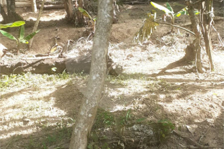 Terreno à venda em Aguazul, Guarulhos, SP