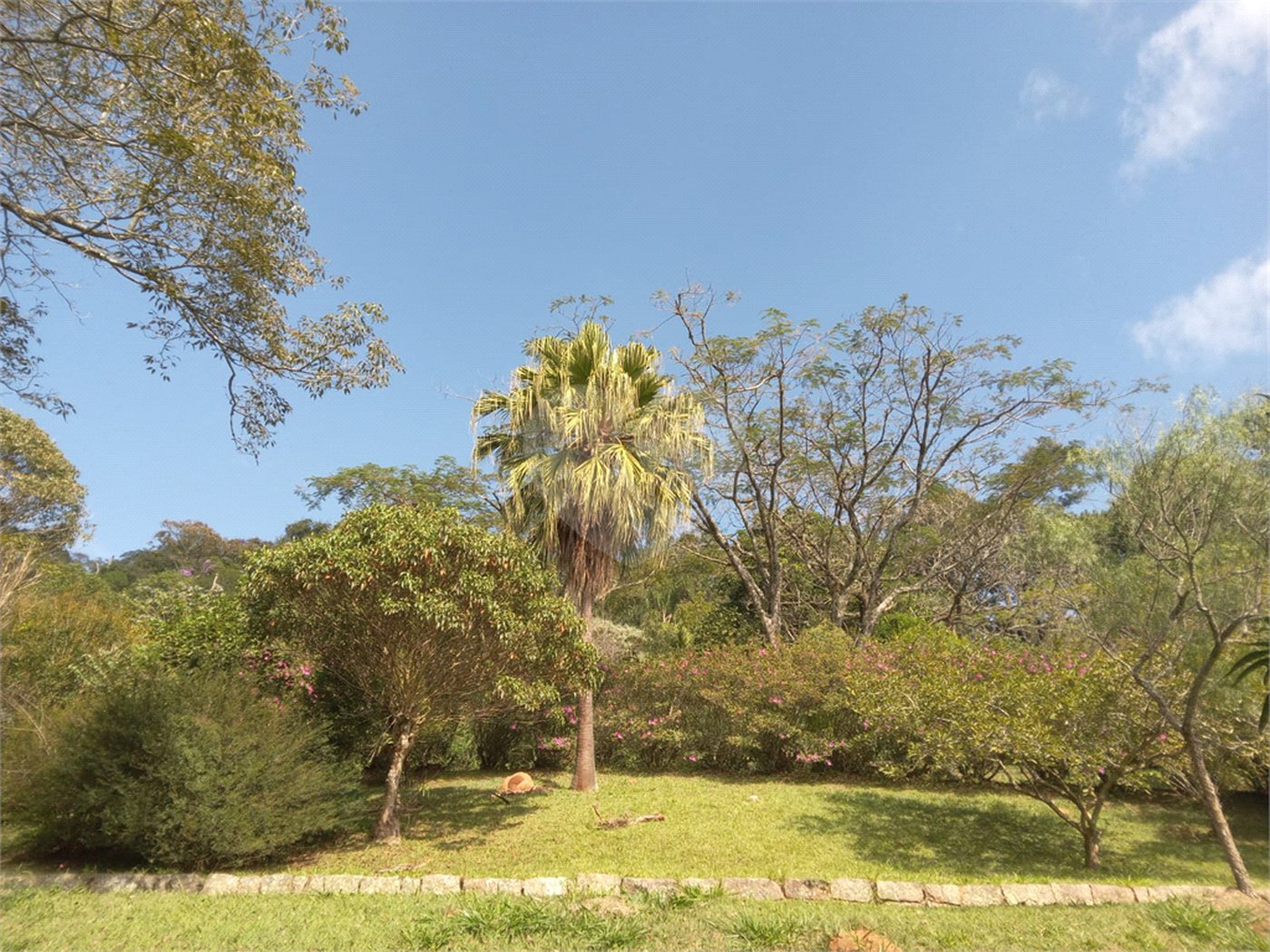 Sítio à venda em Chácara São João, Campo Limpo Paulista, SP