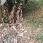 Terreno à venda em Vila Indiana, São Paulo, SP