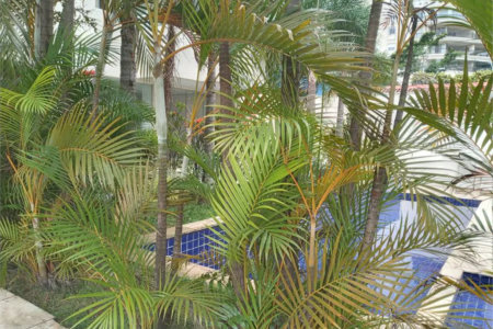 Apartamento para alugar com 2 suítes em Vila Suzana, São Paulo, SP