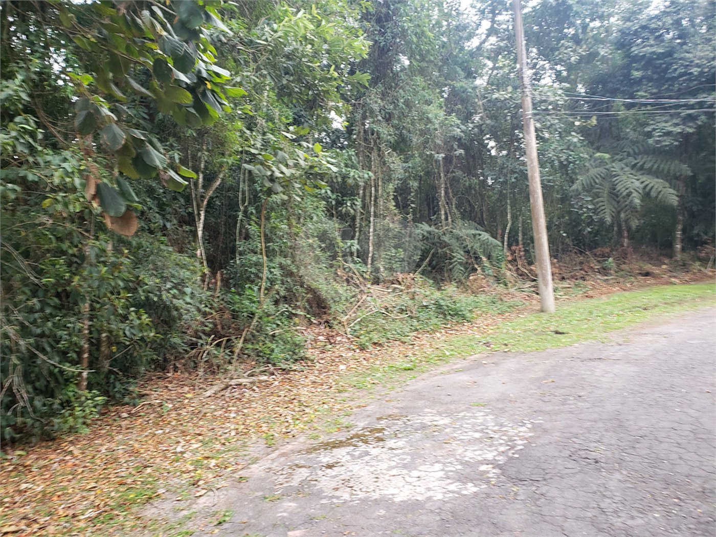 Condomínio à venda em Caraguatá, Mairiporã, SP